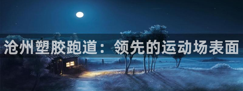 红足一1世666814足球：沧州塑胶跑道：领先的运动场表面