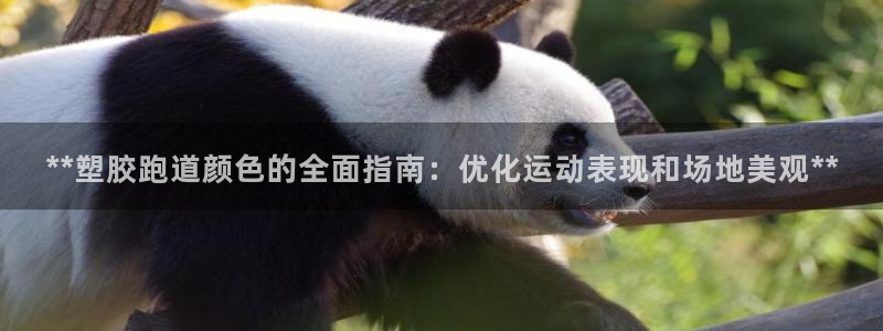红足体育网：**塑胶跑道颜色的全面指南：优化运动表现和场地美观**