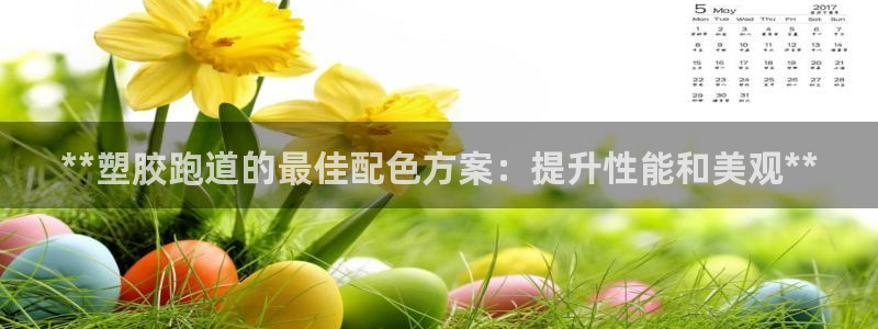55814红足1世：**塑胶跑道的最佳配色方案：提升性能和美观**