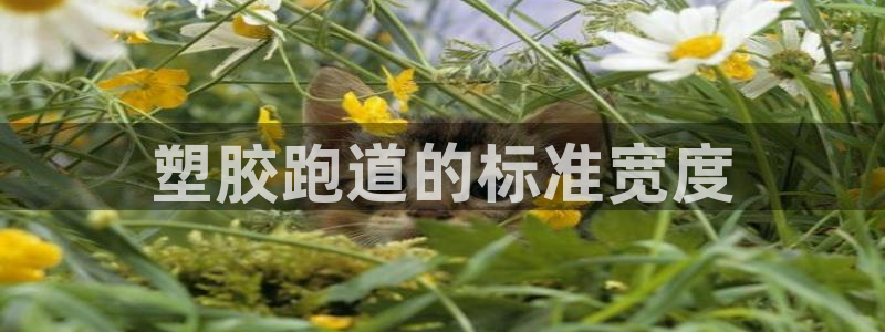 红足1世足球比分
