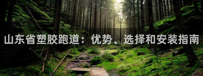 红足一丰：山东省塑胶跑道：优势、选择和安装指南