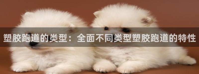 红足1世开奖预测