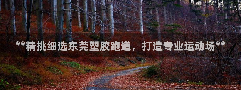 红足一1世手机开奖：**精挑细选东莞塑胶跑道，打造专业运动场**
