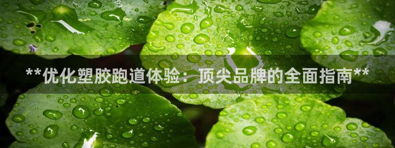 红足一1世即时比分：**优化塑胶跑道体验：顶尖品牌的全面指南**