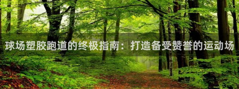 红足一1世皇冠登录：球场塑胶跑道的终极指南：打造备受赞誉的运动场