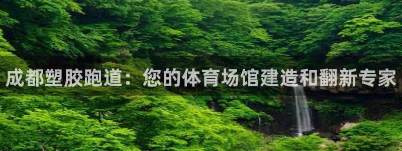 百度红足一1是什么样子的
