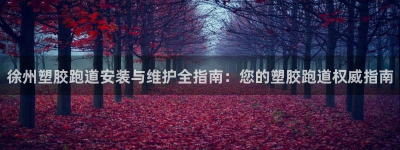 红足一1世66814新宝：徐州塑胶跑道安装与维护全指南：您的塑胶跑道权威指南