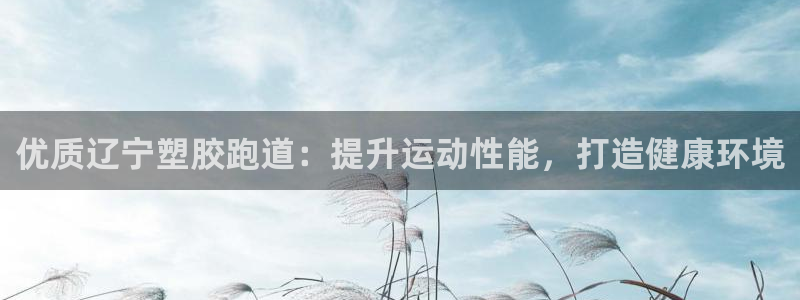 333814红·足一世比分：优质辽宁塑胶跑道：提升运动性能，打造健康环境