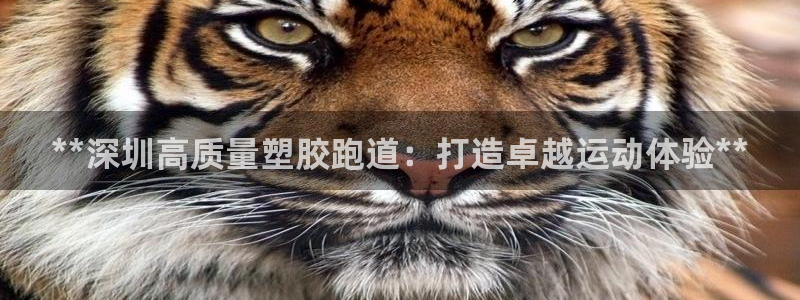 4633333开奖结果4176一点红：**深圳高质量塑胶跑道：打造卓越运动体验**