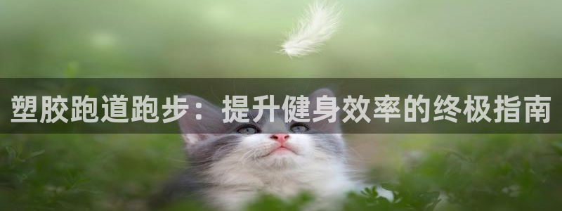 红足体育网：塑胶跑道跑步：提升健身效率的终极指南