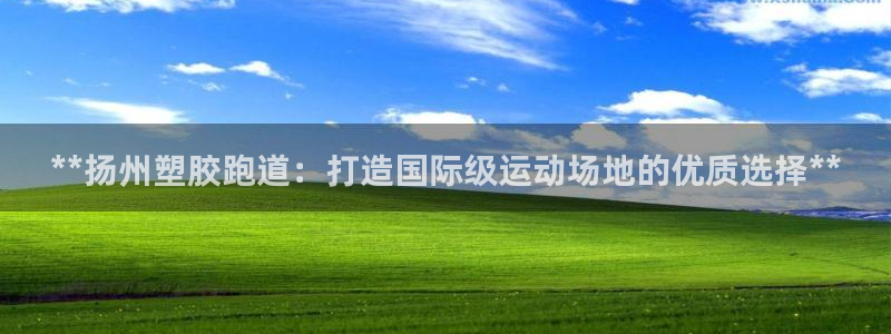 百度红足一1是干什么的