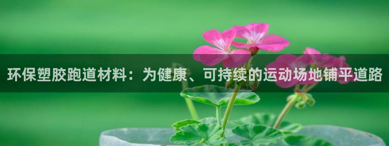 333814红足1世