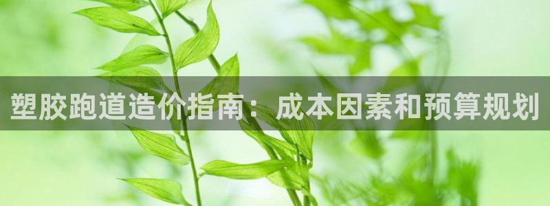 百度红足一1使用说明：塑胶跑道造价指南：成本因素和预算规划