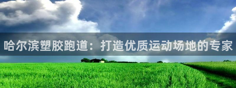 百度红足一1是干什么的：哈尔滨塑胶跑道：打造优质运动场地的专家