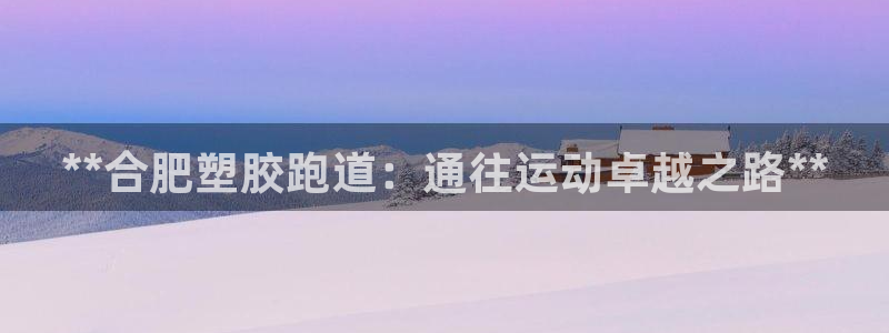 红足1世足球比分：**合肥塑胶跑道：通往运动卓越之路**