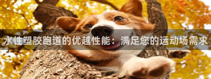777814红·足一世比分：水性塑胶跑道的优越性能：满足您的运动场需求