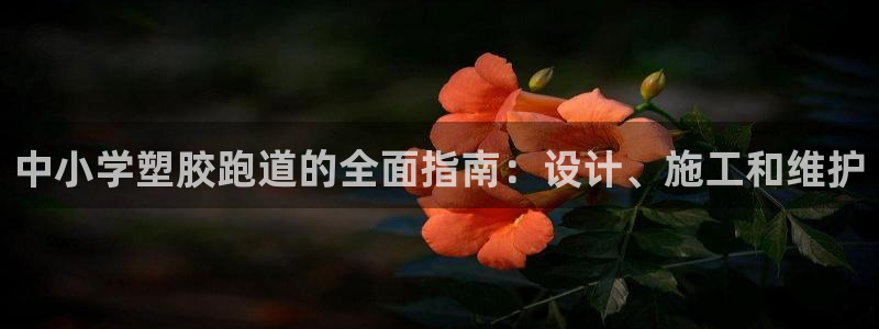 红足1世手机板：中小学塑胶跑道的全面指南：设计、施工和维护