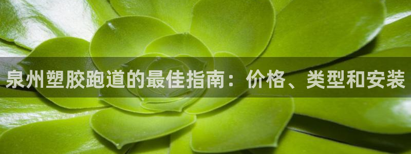 红足一1世官网：泉州塑胶跑道的最佳指南：价格、类型和安装