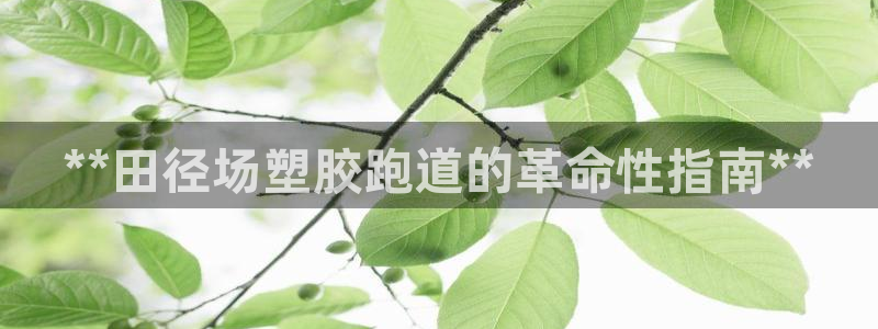 红足一1世手机皇冠：**田径场塑胶跑道的革命性指南**