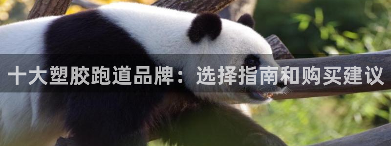 红足一球：十大塑胶跑道品牌：选择指南和购买建议