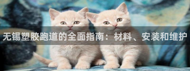 红足一1世：无锡塑胶跑道的全面指南：材料、安装和维护