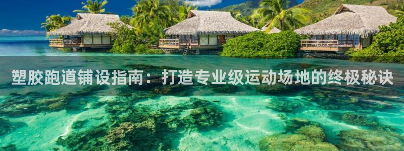 66814红足：塑胶跑道铺设指南：打造专业级运动场地的终极秘诀