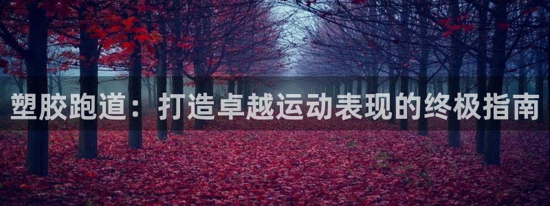 66814红足：塑胶跑道：打造卓越运动表现的终极指南