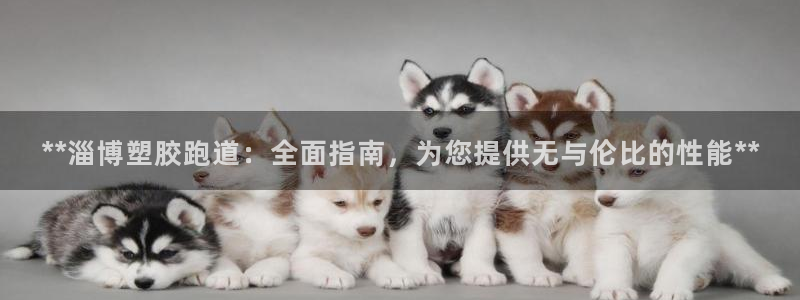 红足体育网：**淄博塑胶跑道：全面指南，为您提供无与伦比的性能**
