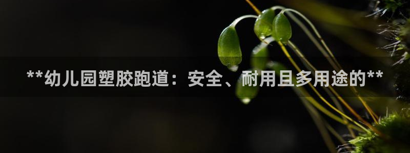红足一比分网：**幼儿园塑胶跑道：安全、耐用且多用途的**