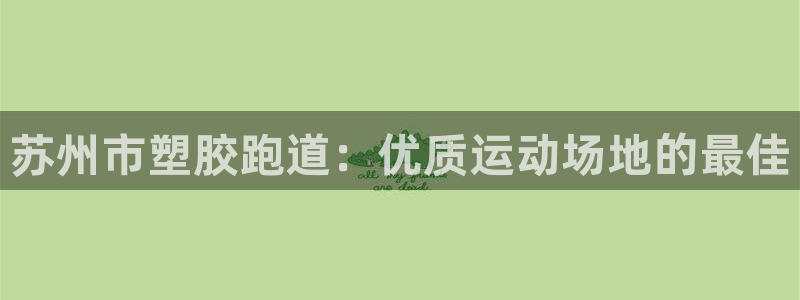 333814红足1世：苏州市塑胶跑道：优质运动场地的最佳
