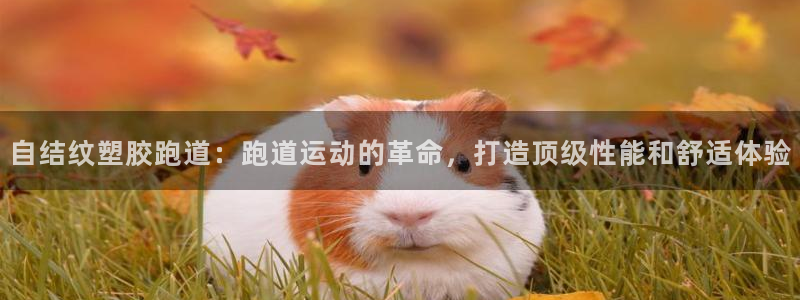 红足i世足球手机网：自结纹塑胶跑道：跑道运动的革命，打造顶级性能和舒适体验