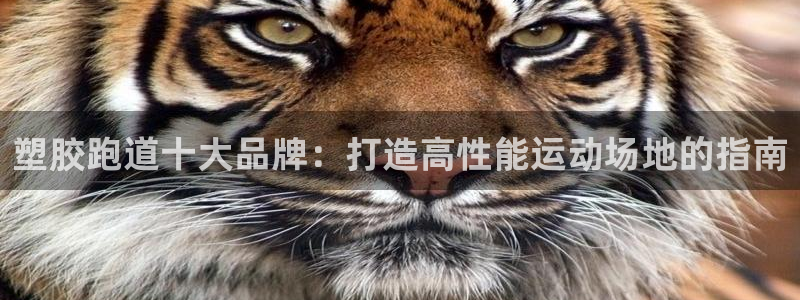 红足1世1站2站管理网：塑胶跑道十大品牌：打造高性能运动场地的指南