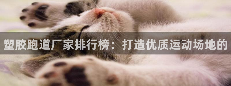 红足1世足球比分