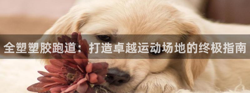 红足一1世66814：全塑塑胶跑道：打造卓越运动场地的终极指南