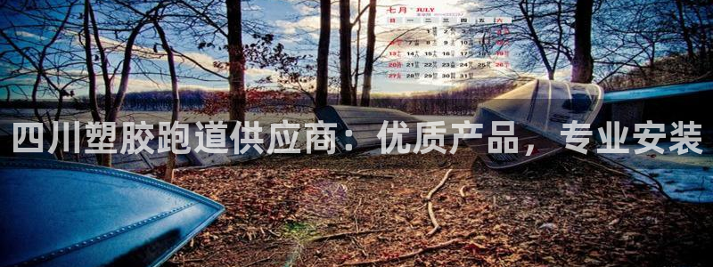 777814红·足一世：四川塑胶跑道供应商：优质产品，专业安装