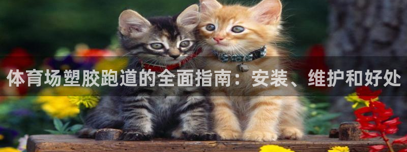 红足一1世手机皇冠：体育场塑胶跑道的全面指南：安装、维护和好处
