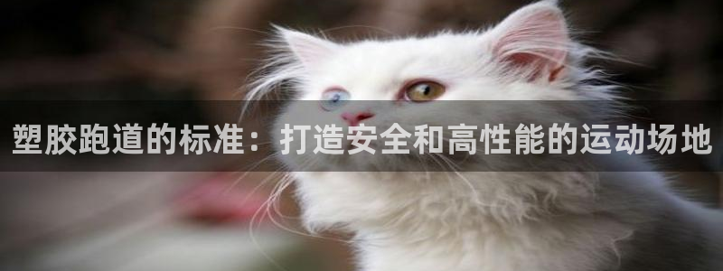 红足一1世平台：塑胶跑道的标准：打造安全和高性能的运动场地