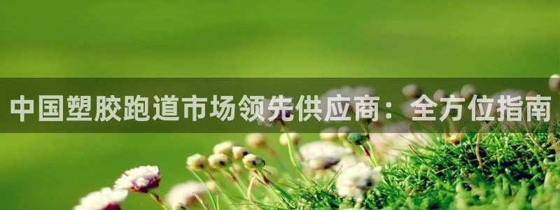红足一1世手机版赛果：中国塑胶跑道市场领先供应商：全方位指南