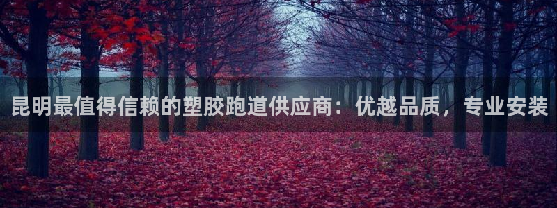 红足一1世比分网：昆明最值得信赖的塑胶跑道供应商：优越品质，专业安装