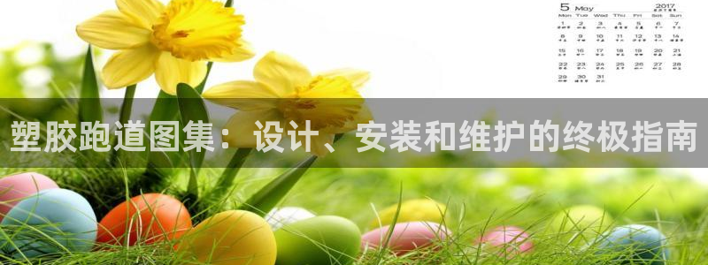 66814红足：塑胶跑道图集：设计、安装和维护的终极指南