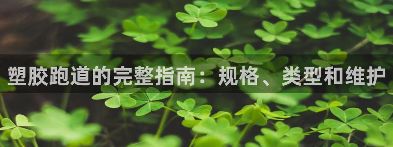 红足 世足球手机网：塑胶跑道的完整指南：规格、类型和维护