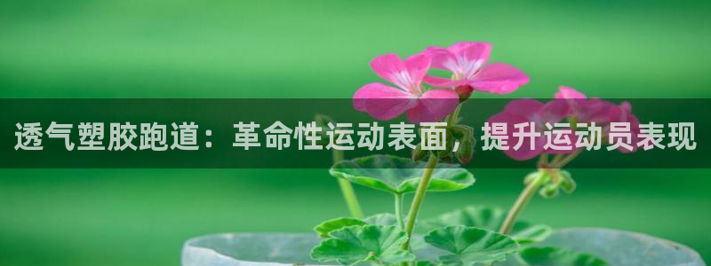 红足1世足球比分：透气塑胶跑道：革命性运动表面，提升运动员表现