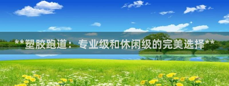 红足一1世皇冠地址：**塑胶跑道：专业级和休闲级的完美选择**
