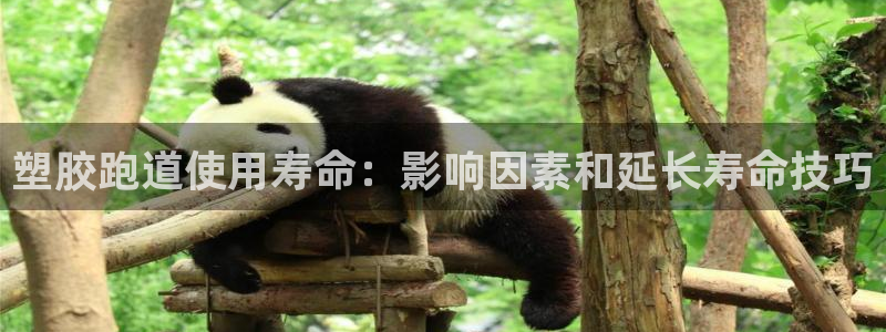 红足一1世平台：塑胶跑道使用寿命：影响因素和延长寿命技巧