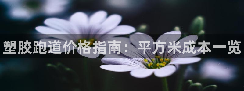 333814红足1世：塑胶跑道价格指南：平方米成本一览