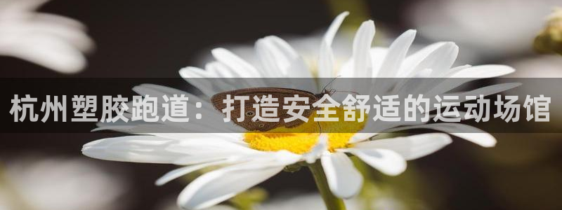 红足一一世足球网开奖记录：杭州塑胶跑道：打造安全舒适的运动场馆