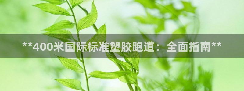 红足一1世666814足球：**400米国际标准塑胶跑道：全面指南**