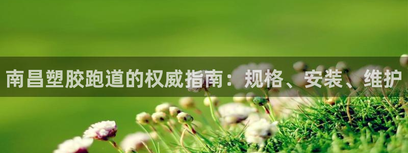红足足球网：南昌塑胶跑道的权威指南：规格、安装、维护