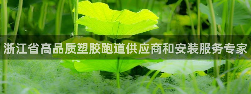 红足1世足球比分 localhost：浙江省高品质塑胶跑道供应商和安装服务专家