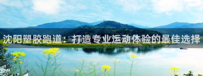 红足一球：沈阳塑胶跑道：打造专业运动体验的最佳选择